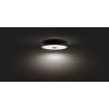 Philips Hue Fair Ceiling Light LED black, 1-light source, Remote control