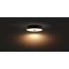 Philips Hue Fair Ceiling Light LED black, 1-light source, Remote control