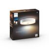 Philips Hue Fair Ceiling Light LED white, 1-light source, Remote control