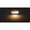Philips Hue Fair Ceiling Light LED white, 1-light source, Remote control
