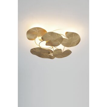 Holländer CONTROVERSIA Ceiling Light LED gold, 6-light sources