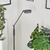 Huallilemu Floor Lamp LED anthracite, 1-light source