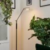Huallilemu Floor Lamp LED anthracite, 1-light source