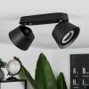 Especiosa Ceiling Light black, 2-light sources