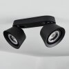 Especiosa Ceiling Light black, 2-light sources