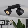 Especiosa Ceiling Light black, 2-light sources