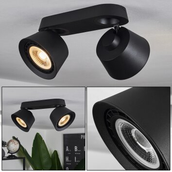 Especiosa Ceiling Light black, 2-light sources