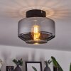Gondim Ceiling Light Smoke-coloured, 1-light source
