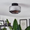 Gondim Ceiling Light Smoke-coloured, 1-light source