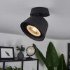 Especiosa Ceiling Light black, 1-light source