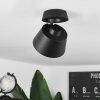 Especiosa Ceiling Light black, 1-light source