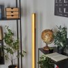 Teira Floor Lamp LED Ecru, black, 1-light source