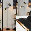 Vouzy Floor Lamp black, 2-light sources