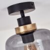 Curveira Ceiling Light bronze, black, 1-light source