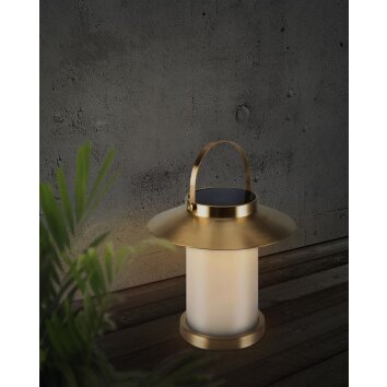 Nordlux TEMPLE Table lamp LED brass, 1-light source