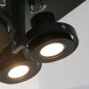 Steinhauer MEXLITE Ceiling light black, 4-light sources
