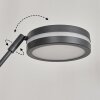 Huallilemu UpLighter LED anthracite, 2-light sources