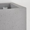 Stettler Wall Light grey, 1-light source