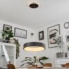 Areja Pendant Light LED black, white, 1-light source