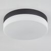 Valpedre Ceiling Light black, 2-light sources
