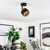 Regueira Ceiling Light black, 1-light source