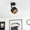 Regueira Ceiling Light black, 1-light source