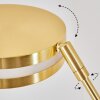 Huallilemu UpLighter LED brass, 2-light sources