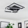 Serzedelo Ceiling Light LED black, 1-light source