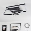 Serzedelo Ceiling Light LED black, 1-light source