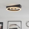 Canhoso Ceiling Light LED black, 1-light source