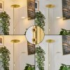 Murca UpLighter LED brass, 2-light sources