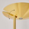 Murca UpLighter LED brass, 2-light sources