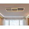 Globo LUFFY Ceiling Light LED gold, black, 1-light source