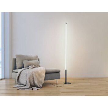 Eglo PICACHA Floor Lamp LED black, 1-light source, Remote control