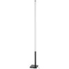 Eglo PICACHA Floor Lamp LED black, 1-light source, Remote control, Colour changer