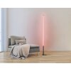 Eglo PICACHA Floor Lamp LED black, 1-light source, Remote control, Colour changer