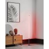 Eglo PICACHA Floor Lamp LED black, 1-light source, Remote control, Colour changer