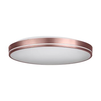 Eglo OROTAVA Ceiling Light LED Mocha, 2-light sources, Remote control