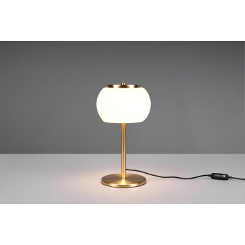 Trio Madison Table lamp LED brass, 1-light source