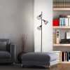 Brilliant Avia Floor Lamp Ecru, black, 3-light sources