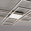 Paul Neuhaus Q-ASMIN Ceiling Light LED black, 2-light sources, Remote control