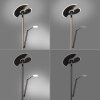 Paul Neuhaus PURE-MUTIL UpLighter LED anthracite, 2-light sources