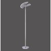 Paul Neuhaus PURE-MUTIL UpLighter LED brushed steel, 2-light sources