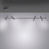 Paul Neuhaus PURE-TUTUA Pendant Light LED black, 4-light sources