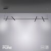 Paul Neuhaus PURE-TUTUA Pendant Light LED black, 4-light sources