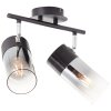 Brilliant Alia Ceiling Light black, 2-light sources