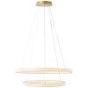 Brilliant Calvi Pendant Light LED gold, 1-light source, Remote control