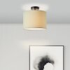 Brilliant Aike Ceiling Light black, 1-light source