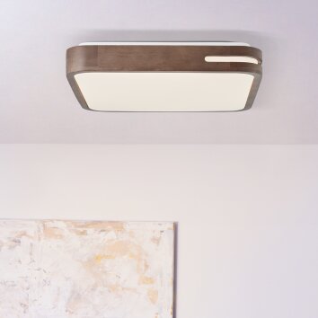 Brilliant Woodbury Ceiling Light LED white, 1-light source