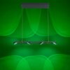 Paul Neuhaus Q-MIA Pendant Light LED anthracite, 16-light sources, Remote control, Colour changer